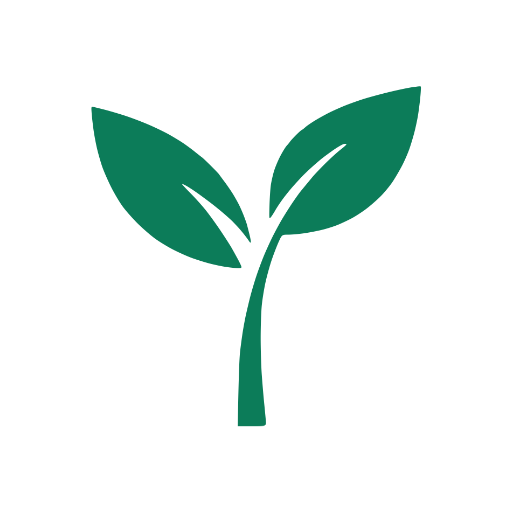 Money Tree - Tasarruf ve Nakit