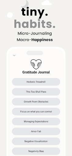 Wise Journal ekran görüntüsü