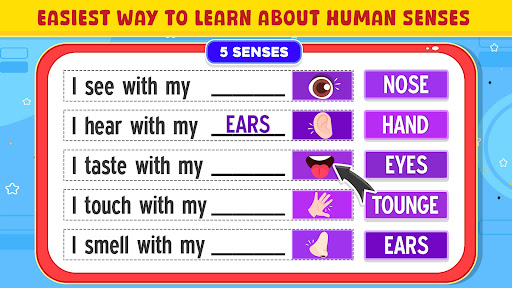 Learn English Sentence Maker ekran görüntüsü