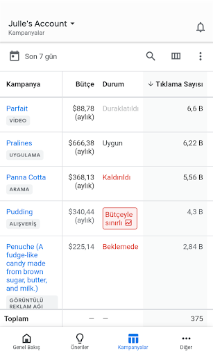 Google Ads ekran görüntüsü