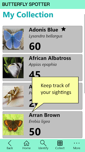 Butterfly Spotter ekran görüntüsü