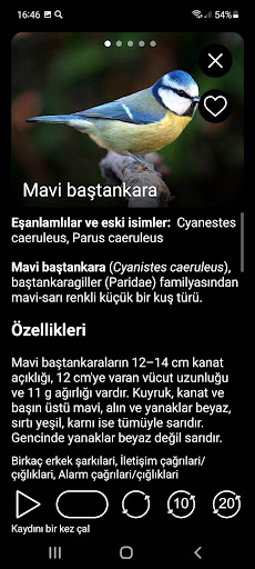 Avrupa kuş sesleri PRO ekran görüntüsü
