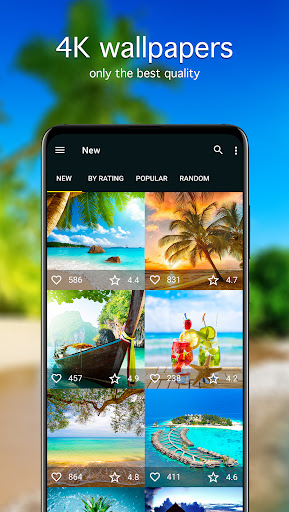 Summer Wallpapers 4K ekran görüntüsü