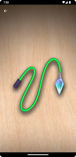 Whip Simulator - Pocket Whip ekran görüntüsü