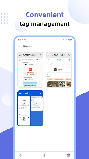 Lemur Browser - Extensions ekran görüntüsü