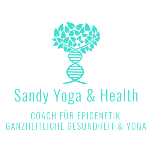 Sandy Yoga & Health