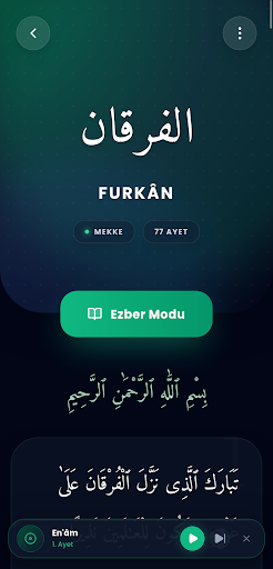 Hafız Nuru: Kuran Ezberleme ekran görüntüsü