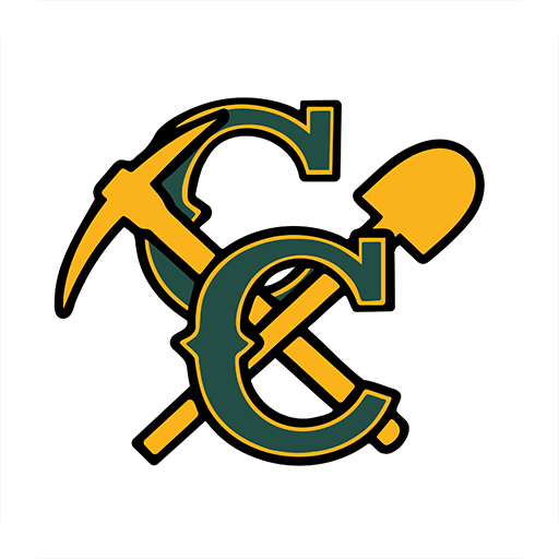 Coal City Schools