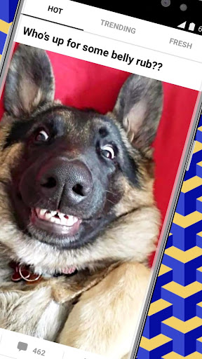 9GAG: Funny GIF, Meme & Video ekran görüntüsü