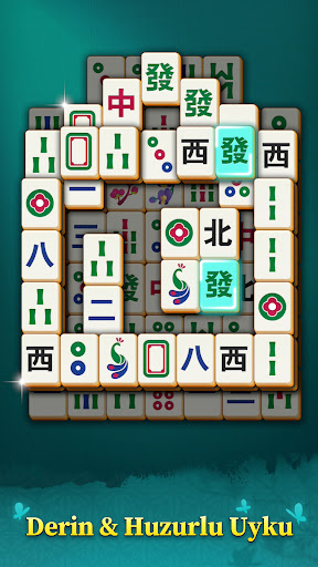 Mahjong Mingle ekran görüntüsü