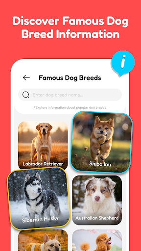 Human To Cat & Dog Translator ekran görüntüsü