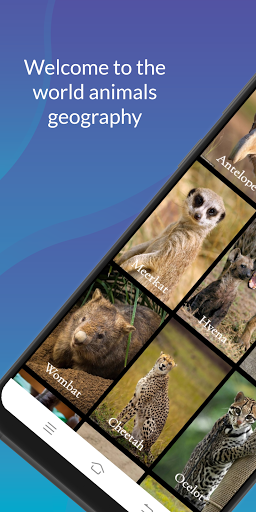 Animals  Information ekran görüntüsü