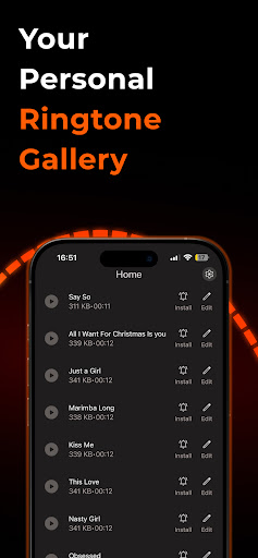 Any Ringtones ekran görüntüsü