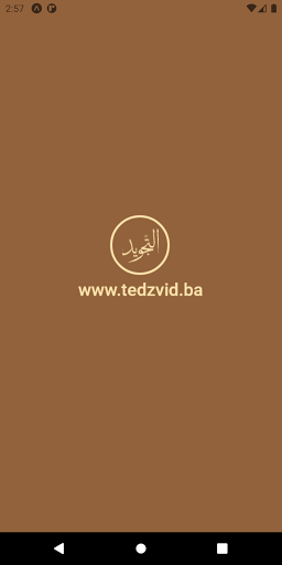 Tedzvid.ba ekran görüntüsü