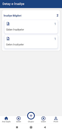 Detay e-İrsaliye ekran görüntüsü