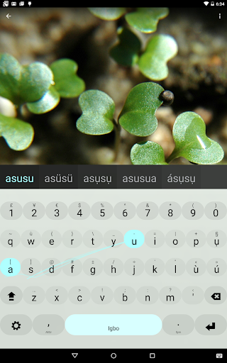 Igbo Keyboard plugin ekran görüntüsü