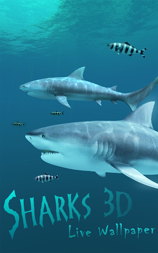 Sharks 3D - Live Wallpaper ekran görüntüsü