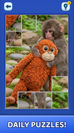 Video Jigsaw Puzzle ekran görüntüsü