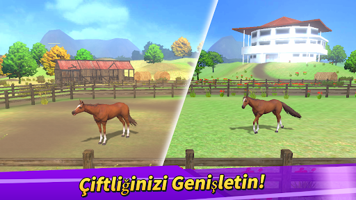 Derby Life ekran görüntüsü