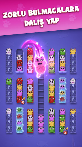 Kitty Sort: Twisted Tails ekran görüntüsü
