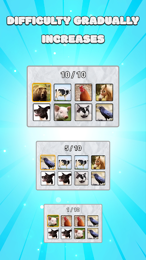 Animal Name Filter Challenge ekran görüntüsü