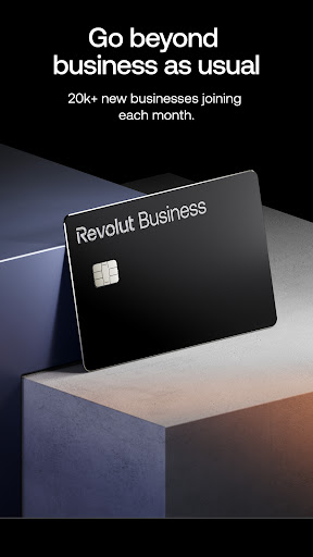 Revolut Business ekran görüntüsü