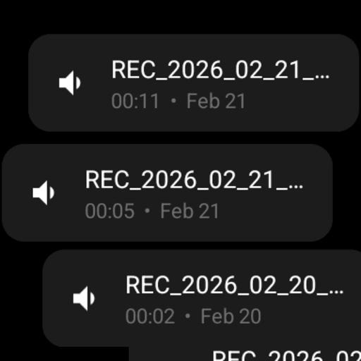 Audio Recorder Watch Pro ekran görüntüsü