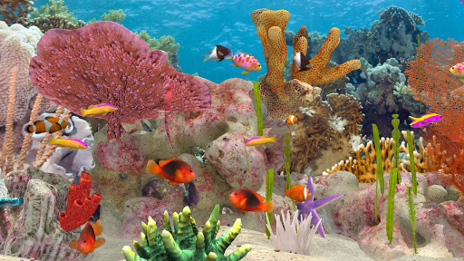 Fish Farm 3 - Aquarium ekran görüntüsü