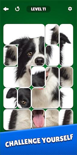 Solitaire Puzzle: Jigsaw Card ekran görüntüsü