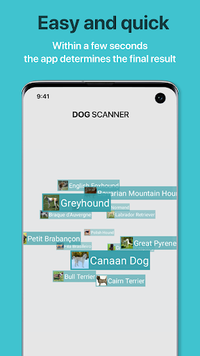 Dog Scanner: Breed Recognition ekran görüntüsü