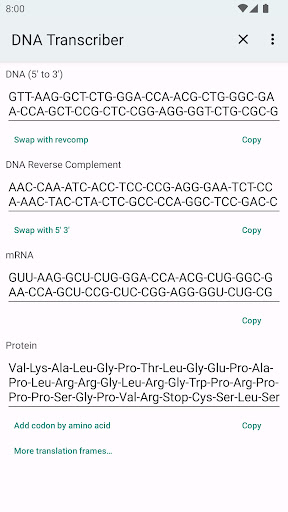 DNA-RNA-Protein Transcriber ekran görüntüsü