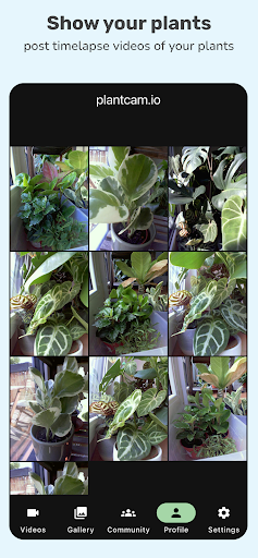 PlantCam Timelapse Camera ekran görüntüsü