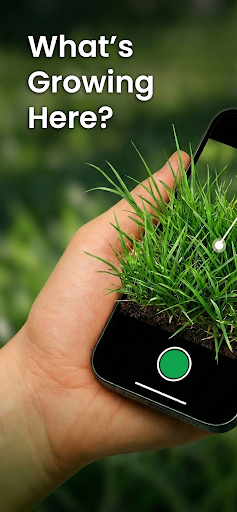 Grass Identifier: Turf AI & ID ekran görüntüsü