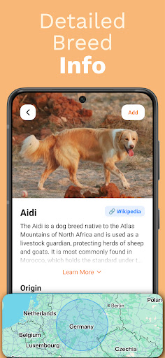 Dog Identifier - Scan with AI ekran görüntüsü