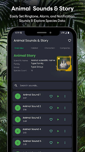 Falcon Sounds & Story ekran görüntüsü