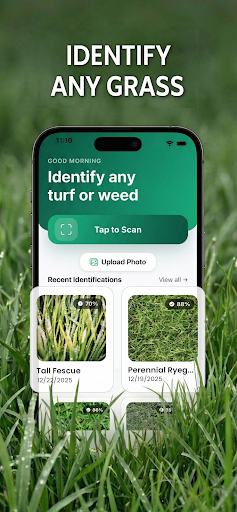 Grass Identifier: Turf AI & ID ekran görüntüsü