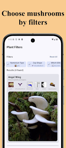 Forest Mushroom Identification ekran görüntüsü