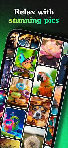 Picsaw Solitaire Puzzle Game ekran görüntüsü
