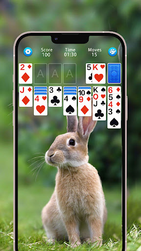 Solitaire ekran görüntüsü