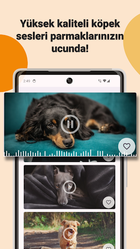 Köpek Sesleri ve Zil Sesleri ekran görüntüsü