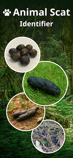 Animal Scat Identifier Poop ID ekran görüntüsü