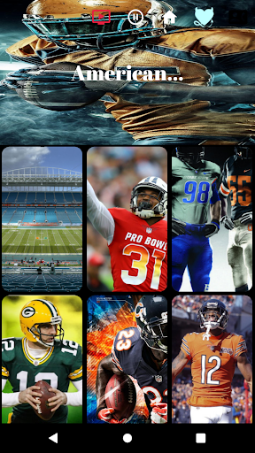 NFL Football Wallpapers HD ekran görüntüsü