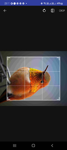 Simple Photo Editor ekran görüntüsü