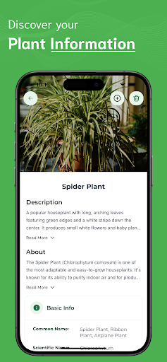 Plant Identifier ekran görüntüsü