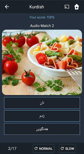 Learn Kurdish. Speak Kurdish.  ekran görüntüsü