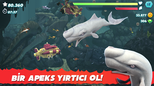 Hungry Shark Evolution ekran görüntüsü
