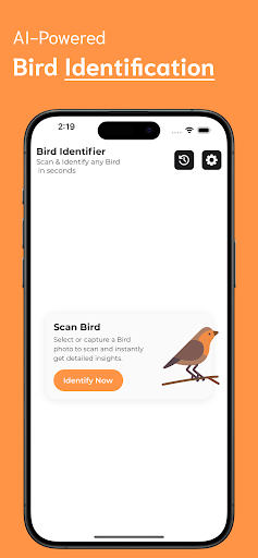 Bird Identifier ekran görüntüsü
