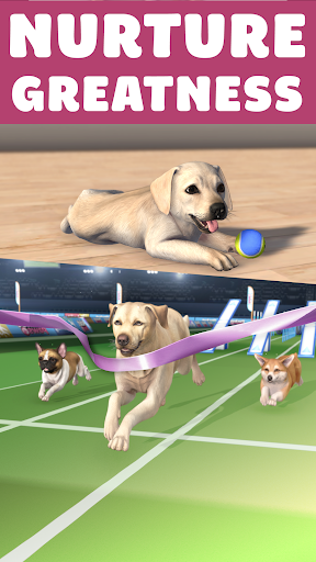 Pocket Paws: My lovely dogs ekran görüntüsü