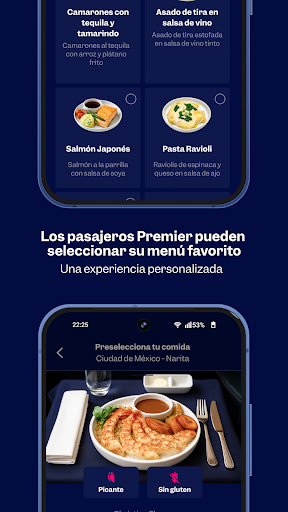 Aeroméxico ekran görüntüsü