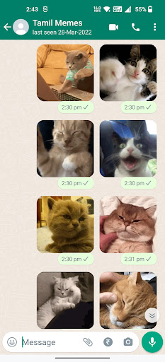 Cat Animated Stickers ekran görüntüsü